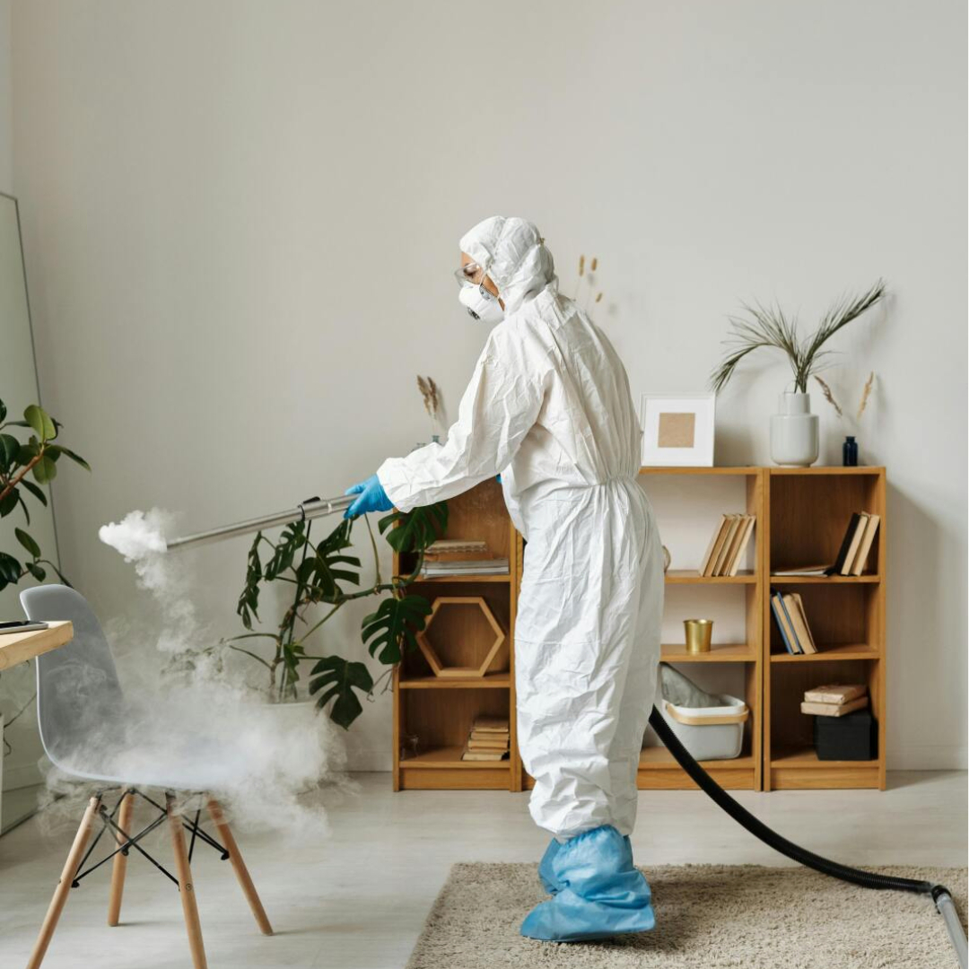 Απολύμανση